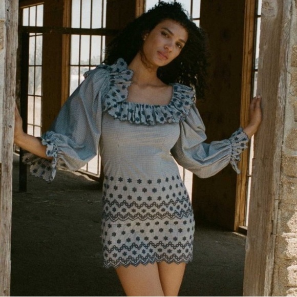 NWT Doen Franique Cotton Ruffle Eyelet Long Sleeve Dress Azure Paris Gingham - Picture 3 of 14